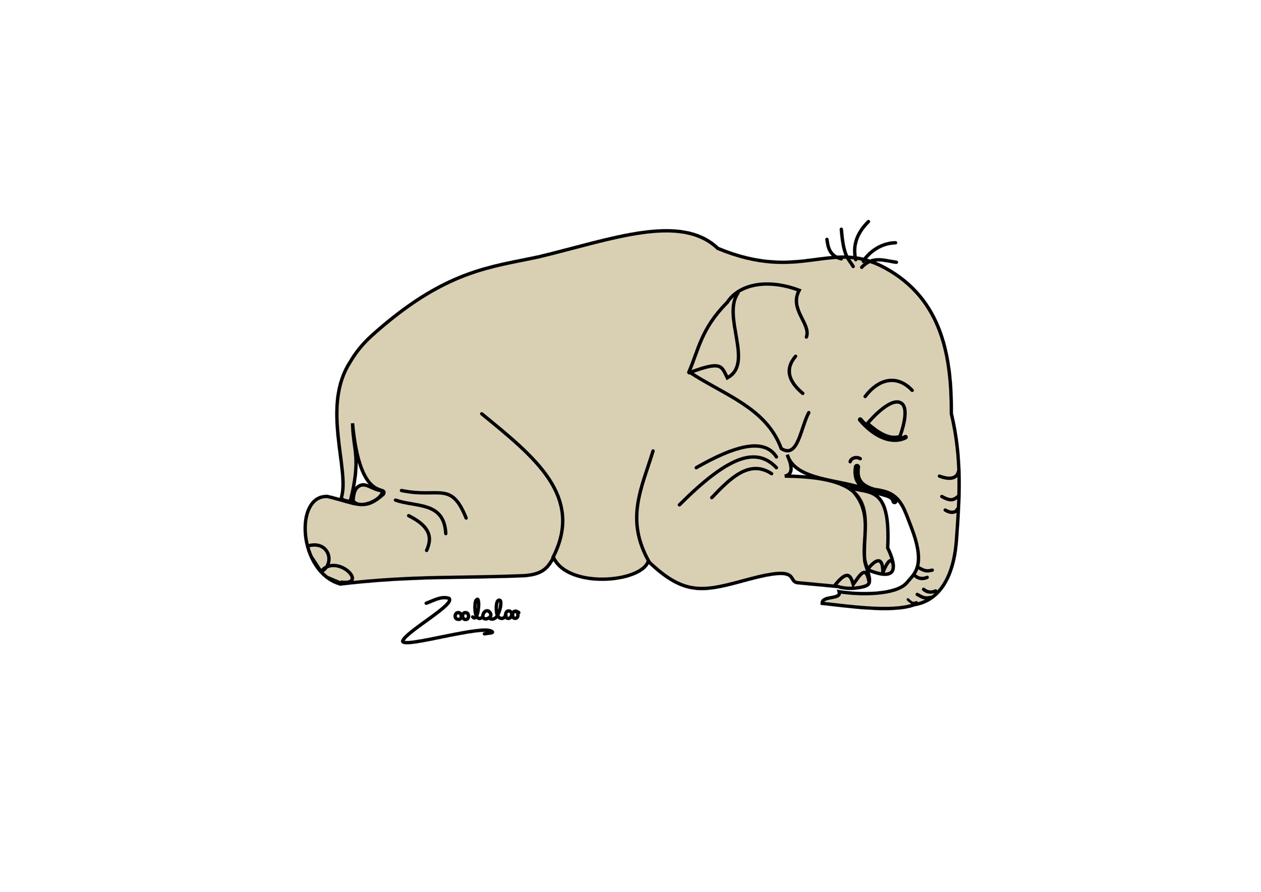 Veronica Waldburg Zoolaloo Babyelefant schlafend