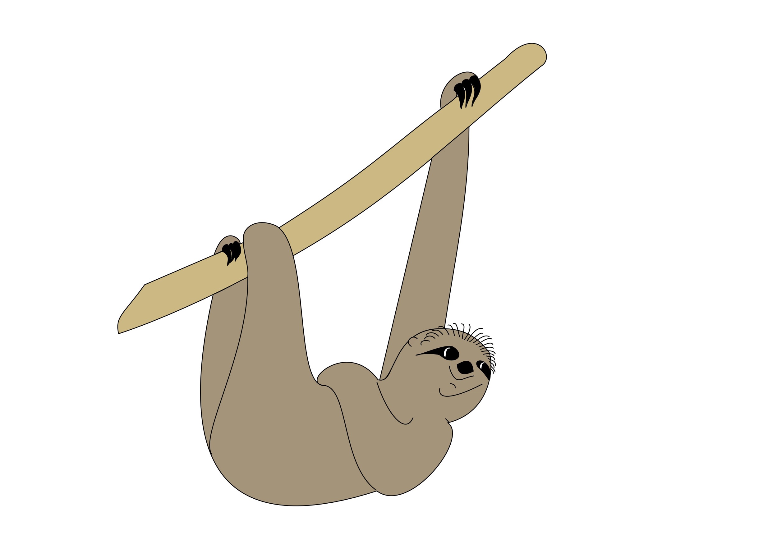 Veronica Waldburg Zoolaloo Faultier