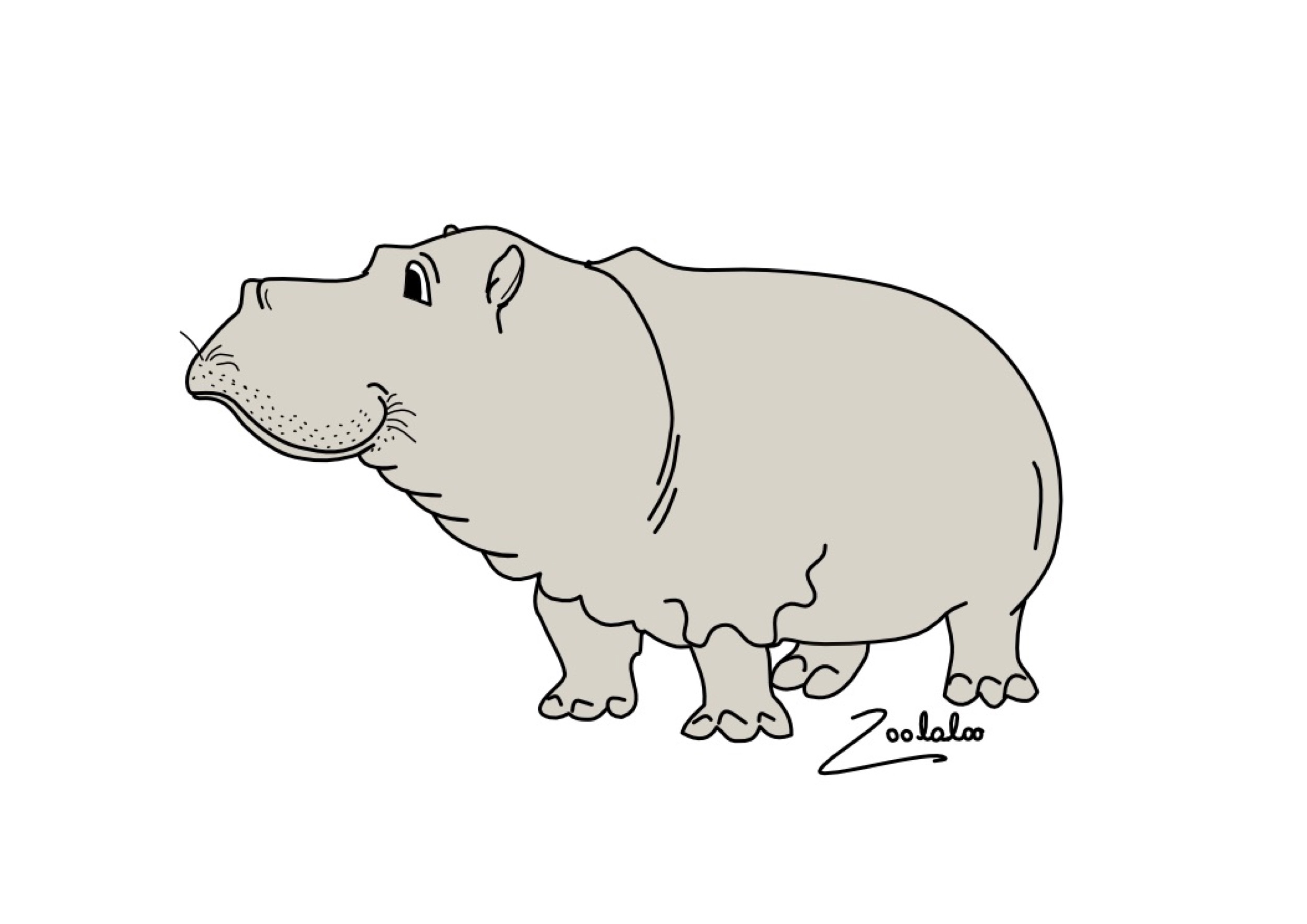 Veronica Waldburg Zoolaloo Nilpferdvekt