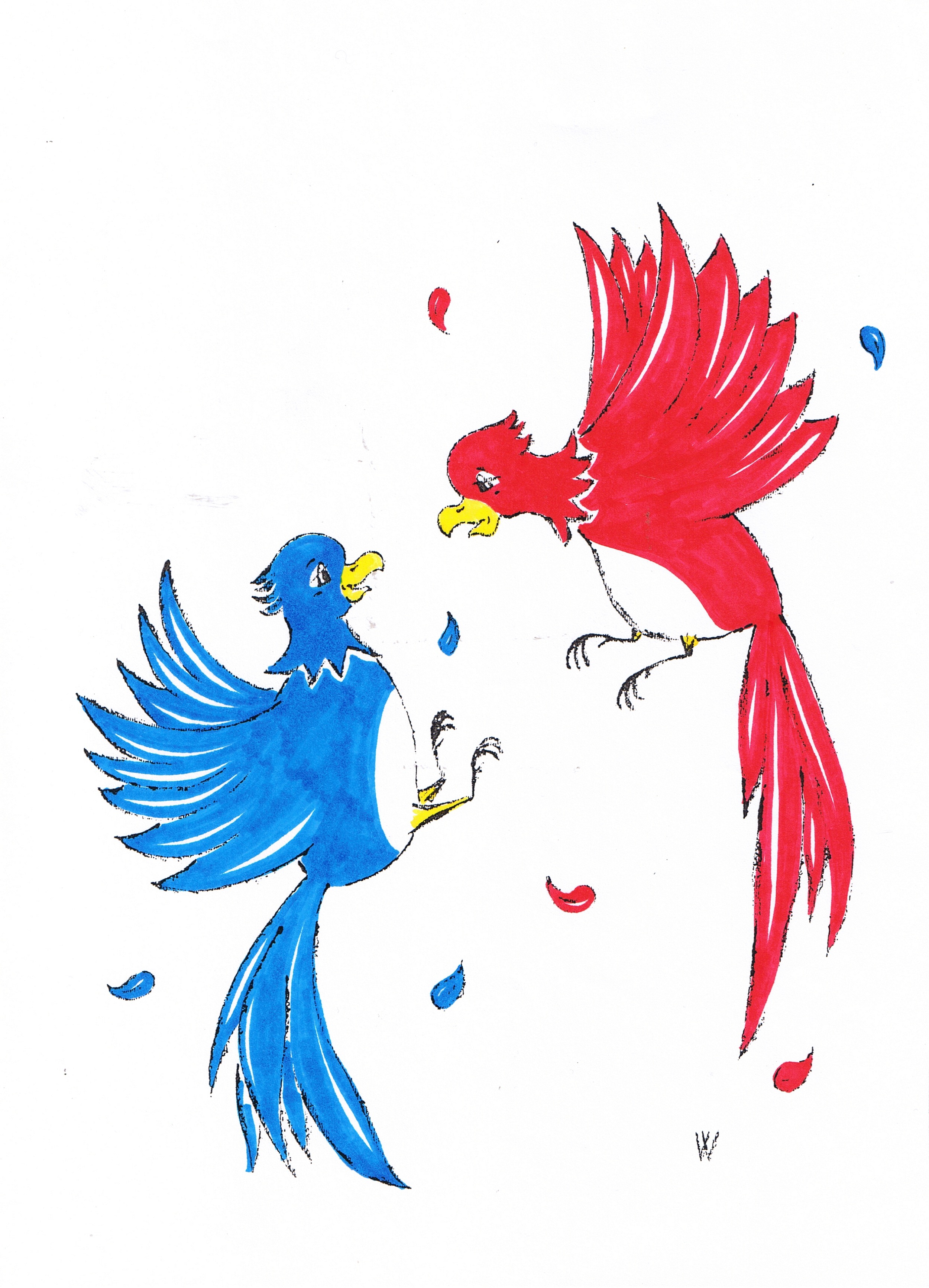 Veronica-Waldburg-Zoolaloo-Papageien-streitend