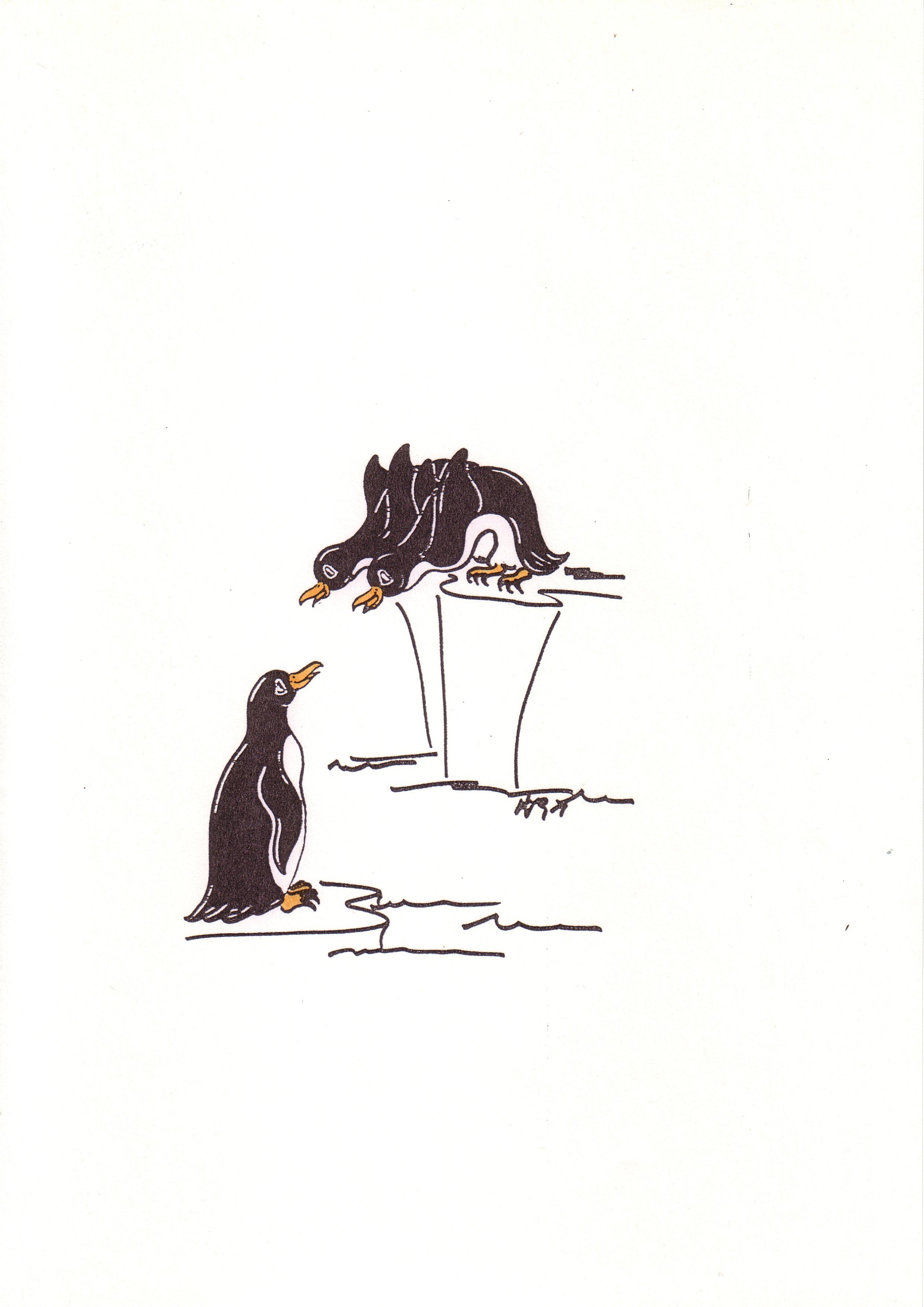 Veronica-Waldburg-Zoolaloo-Pinguin7