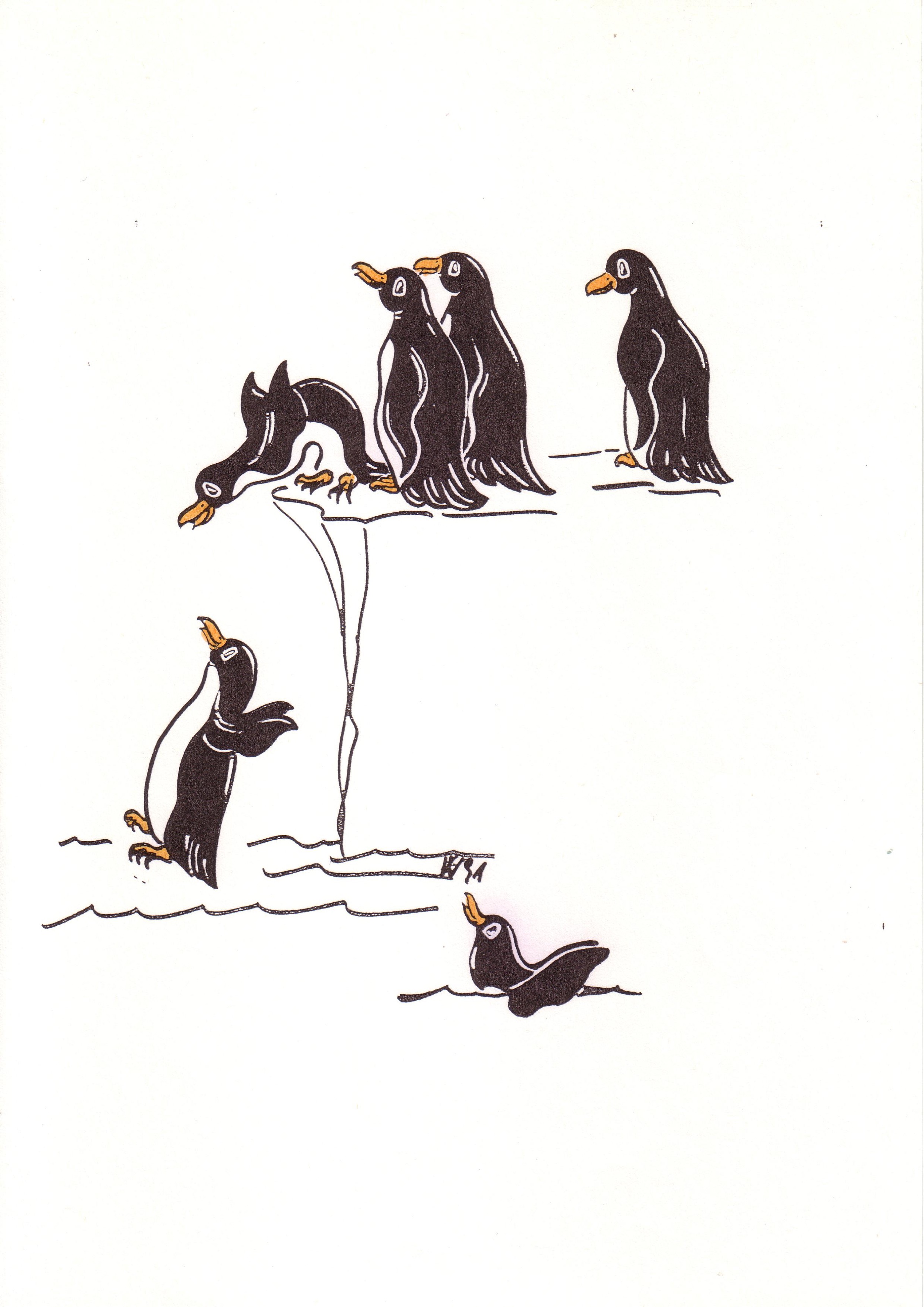 Veronica-Waldburg-Zoolaloo-Pinguin8