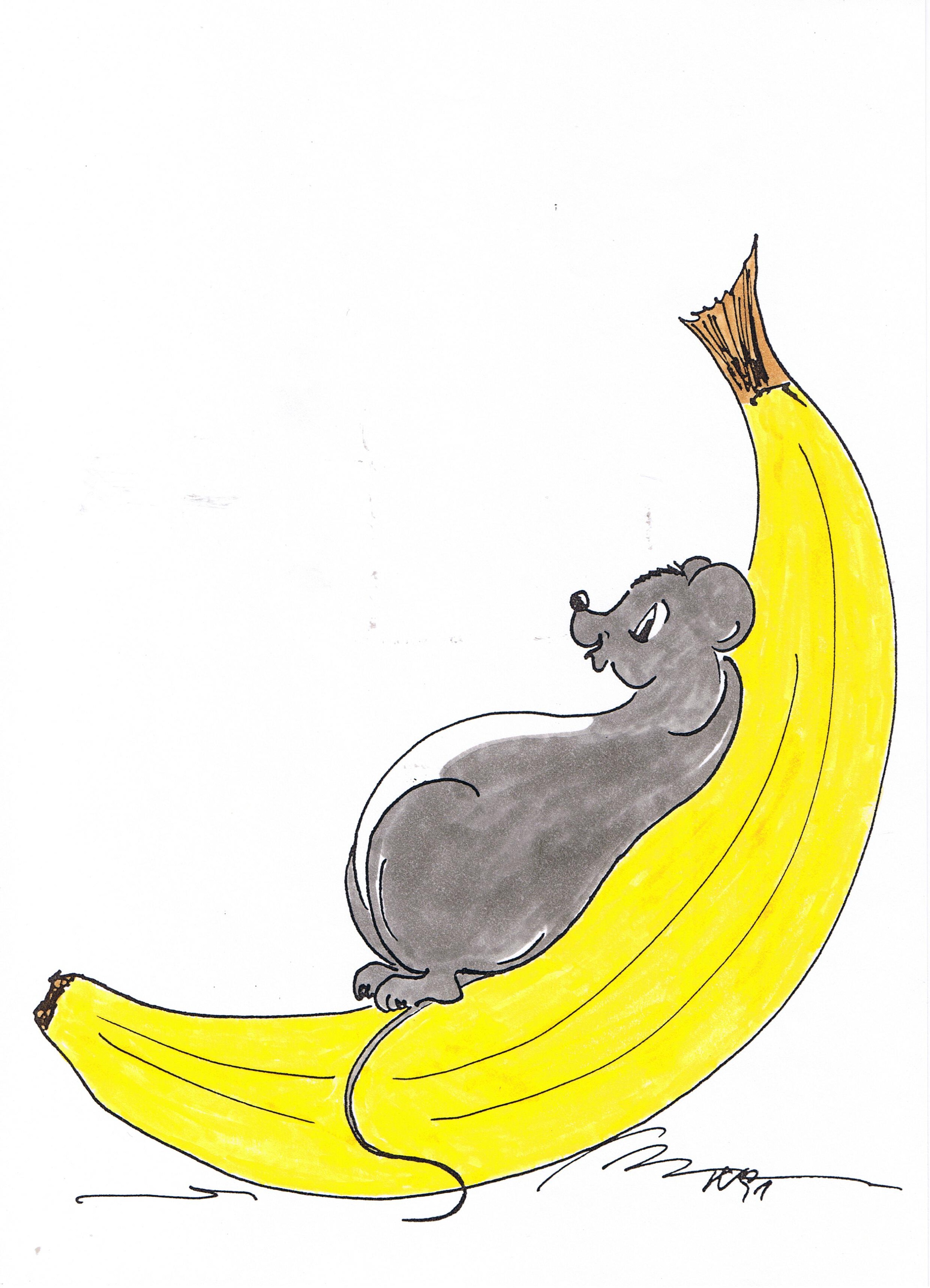 Veronica-Waldburg-Zoolaloo-easy-life