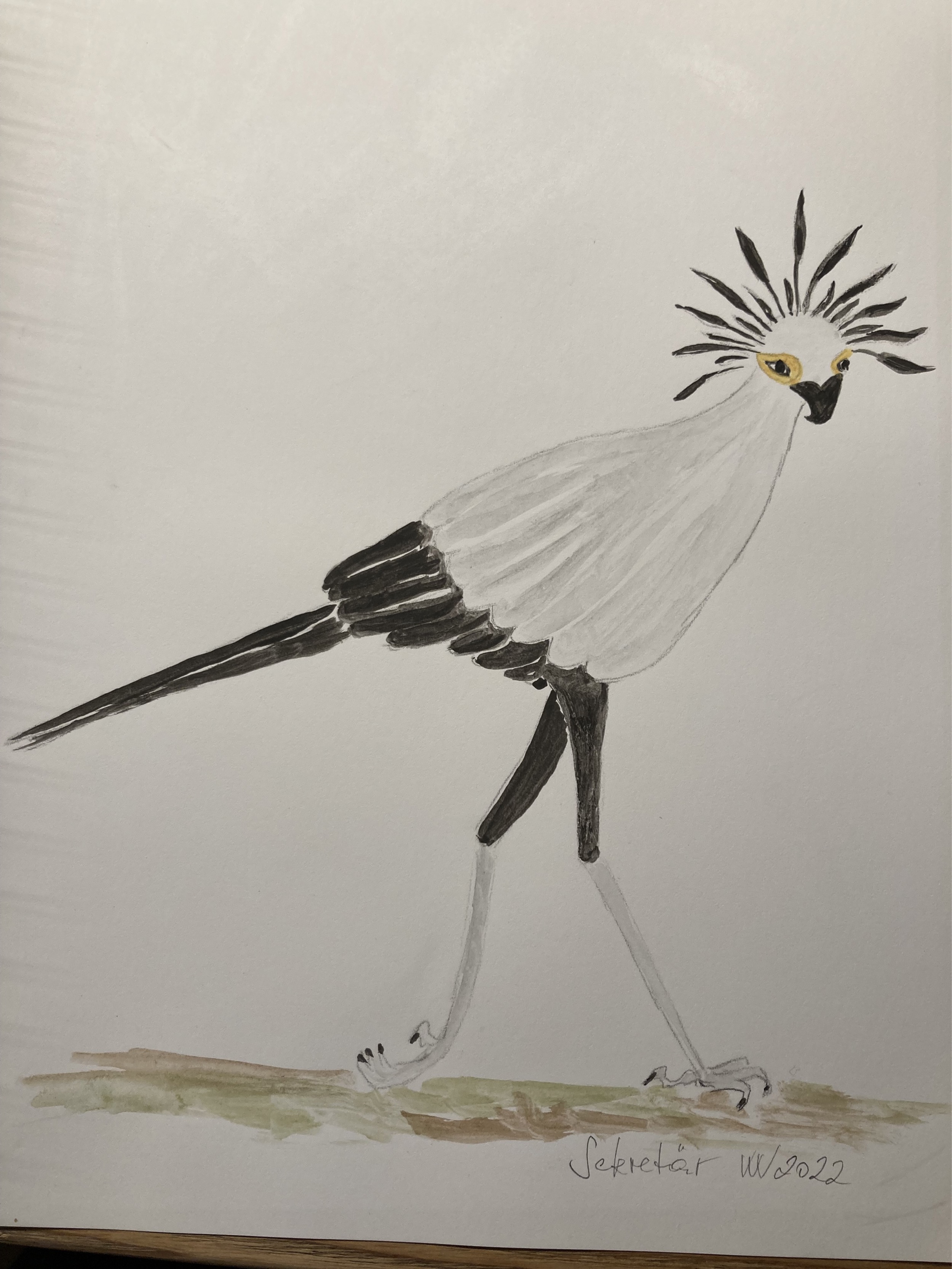 voegel-veronica-waldburg-Sekretaer