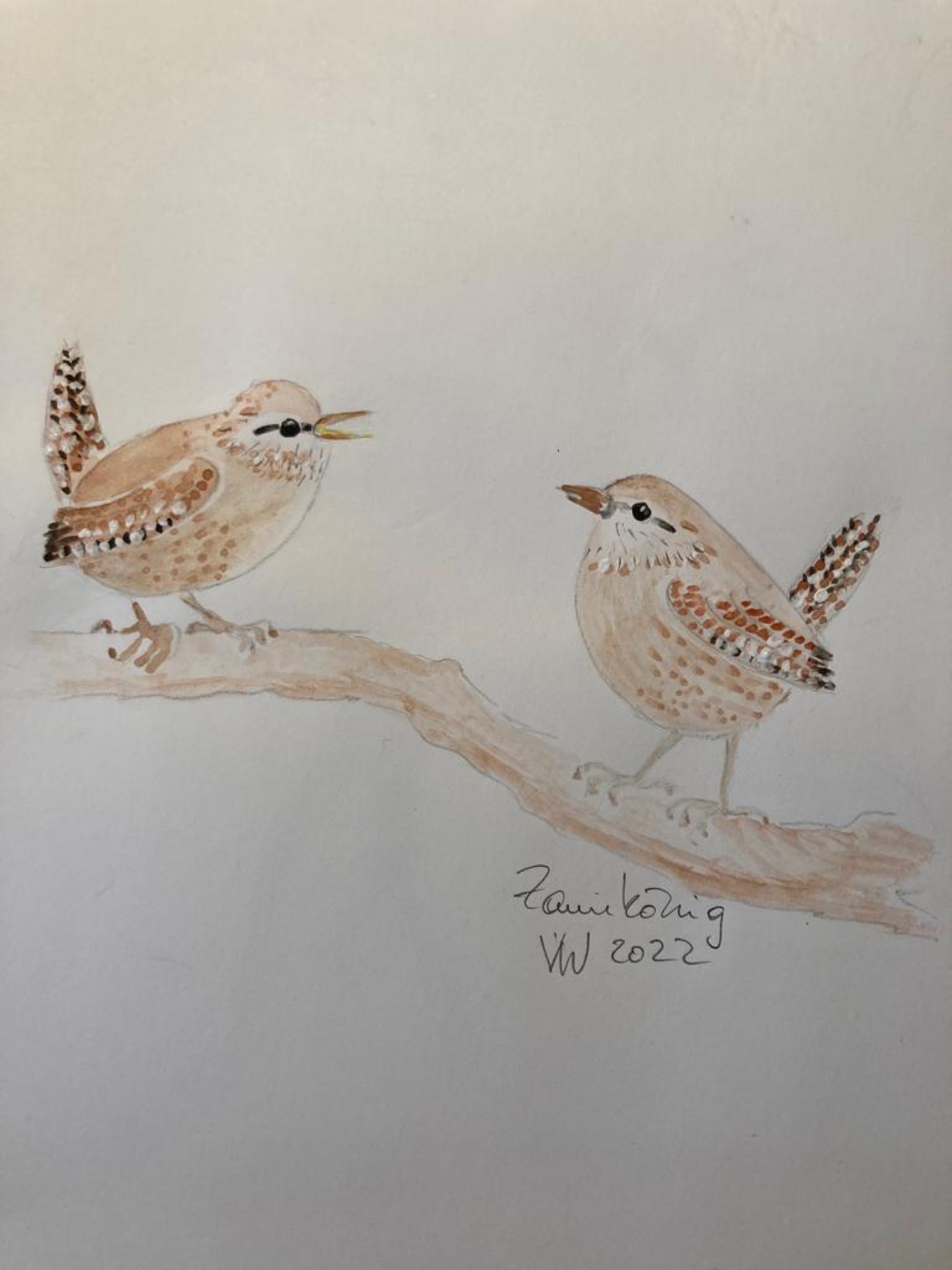 voegel-veronica-waldburg-Zaunkoenig